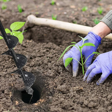 Transform Your Garden, Transform Your Joy!